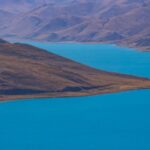 Gallery Thumbnail 5