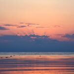 Gallery Thumbnail 7